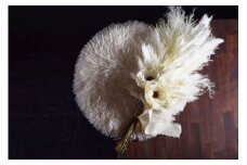 アネモネのスワッグ　shabby　White　ニュアンスブーケ　/　シック　可愛い　上品　春の柚　0828