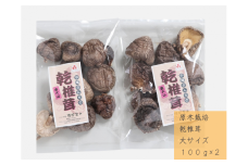 中尾さんちの乾椎茸 大 100g 2袋 原木栽培  大きいサイズ 干しシイタケ / SAC中尾 椎茸屋 0799