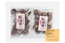 中尾さんちの乾椎茸 中  100g 2袋 原木栽培 干しシイタケ 普通サイズ / SAC中尾 椎茸屋 0798