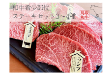 鳥取和牛希少部位ステーキセット 計500g 鳥取県産 MK11 1002