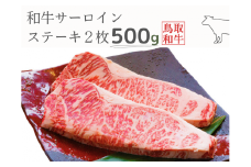 鳥取和牛サーロインステーキ2枚 計500g 鳥取県産 ご当地ファーム大山望 MK10 1001