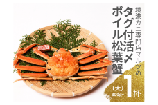 【タグ付き】活〆ボイル松葉がに（大）1枚 カニ専門店マルツ 先行受付 M8 1033