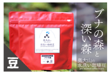 スペシャルブレンド ブナの森＆深い森セット 【豆】コーヒー 奥大山の水洗い珈琲 1037