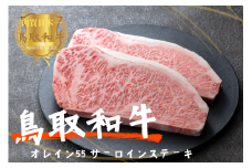 鳥取和牛オレイン55 サーロインステーキ2枚（計500g）牛肉 やまのおかげ屋 KF1288 1170