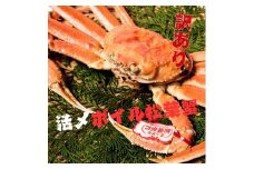 【訳あり】活〆ボイル松葉蟹　700g前後 カニ専門店マルツ 先行受付 M12　1187