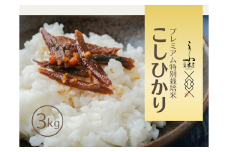【令和7年産】奥大山江府米コシヒカリ 3kg プレミアム 特別栽培 こめ こしひかり 精米 3ｷﾛ 0624
