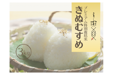 【令和7年産】奥大山江府米きぬむすめ 3kg プレミアム 特別栽培 キヌムスメ 精米 3ｷﾛ 0626