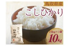 米 こしひかり10kg  鳥取県産 こめ 精米 コシヒカリ 令和7年産 送料無料 1053
