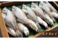 魚 干物 日本海 一夜干し 詰め合わせ セット 高級魚 島根 松江 おすすめ 人気