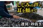 しじみ 貝 魚貝類 海鮮 簡単 お手軽 しじみ汁 大容量