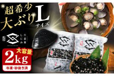 地元でも入手困難なレアサイズ！ Lサイズ 宍道湖産ヤマトシジミ(冷凍砂抜き済み)1kg×2袋(2kg)島根県松江市/宍道湖漁業協同組合 [ALAZ003]｜しじみ シジミ 蜆 しじみ汁 味噌汁 みそ汁 宍道湖 砂抜き 砂出し 冷凍