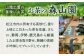 抹茶 煎茶 茶せん 茶碗 茶の湯 セット 銘茶 島根 松江 おすすめ 人気
