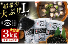 地元でも入手困難なレアサイズ！ Lサイズ 宍道湖産ヤマトシジミ(冷凍砂抜き済み)1kg×3袋(3kg)島根県松江市/宍道湖漁業協同組合 [ALAZ002]｜しじみ シジミ 蜆 しじみ汁 味噌汁 みそ汁 宍道湖 砂抜き 砂出し 冷凍