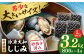 しじみ 貝 魚貝類 海鮮 簡単 お手軽 しじみ汁 大容量