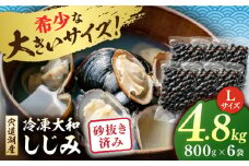 宍道湖産 冷凍大和しじみ 砂抜き済 Lサイズ800g×6袋(4.8kg) 島根県松江市/しじみ市場株式会社 [ALDK003]｜シジミ 蜆 貝 魚貝類 魚介類 海鮮 簡単 お手軽 砂抜き不要 しじみ汁 大容量