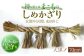 真菰 マコモ まこも ストラップ 魔除け しめ縄 島根 松江 おすすめ 人気