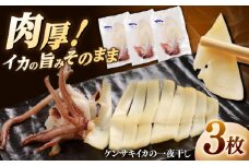 白イカ(ケンサキイカ)の一夜干し3枚セット 島根県松江市/海ひこ株式会社 [ALDY006]｜白イカ 一夜干し セット イカ いか 魚介 海産物 おつまみ 島根 松江 国産