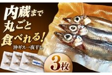 沖ギス(ニギス)の一夜干し3枚セット 島根県松江市/海ひこ株式会社 [ALDY012]｜きす キス 鱚 一夜干し 干物 魚 魚介 海産物 ギフト 島根 松江 おすすめ