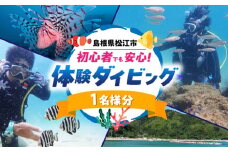 松江で海中散歩♪初心者でも安心の体験ダイビングプラン 島根県松江市/合同会社LOCOBLUE [ALFE001]｜体験 ダイビング 海 アウトドア 初心者 島根 松江 おすすめ 人気 ランキング