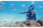 体験 ダイビング 海 アウトドア 初心者 島根 松江 おすすめ 人気 ランキング