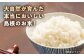 きぬむすめ 米 お米 白米 精米 ご飯 ごはん 産地直送 島根 松江 おすすめ