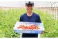 トマト トマトジュース チェリートマト 飲み比べ セット 島根 松江 人気 おすすめ