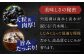 みそ汁 味噌汁 即席 簡単 インスタント 個包装 島根 松江 おすすめ