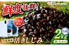 砂抜き不要！宍道湖産 活ヤマトシジミ 生しじみ 2kg 島根県松江市/株式会社漁師村 [ALDN003]｜蜆 しじみ シジミ 宍道湖 魚介類 海鮮 貝 しじみ汁 産地直送 新鮮 松江