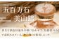 お酒 酒 日本酒 純米酒 飲料 地酒 贈答 ギフト
