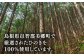 はんこ ハンコ スタンプ 印鑑 寿限無 島根 松江 ギフト おすすめ 人気
