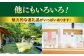 あとから選べる 5万円 50000円 セット ギフト プレゼント 贈答 松江