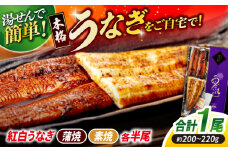 うなぎ老舗専門店のパリっとふっくら 紅白うなぎ 蒲焼・素焼半身　(真空パック/秘伝のタレ・藻塩付き) 島根県松江市/株式会社山美世商会 [ALDC004]｜国産 うなぎ ウナギ 鰻 蒲焼き 白焼き 国産 人気 おすすめ 島根 松江