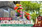 サービス お墓 掃除 代行 墓参り代行 お墓参り 島根 松江 おすすめ 人気