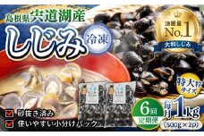 【全6回定期便】超希少！特大粒プレミアムサイズ 宍道湖産冷凍大和しじみ 特大粒500g×2袋 島根県松江市/平野缶詰有限会社 [ALBZ043]｜しじみ シジミ 蜆 しじみ汁 味噌汁 みそ汁 宍道湖 しんじ湖 砂抜き 砂出し