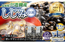 【全12回定期便】超希少！特大粒プレミアムサイズ 宍道湖産冷凍大和しじみ 特大粒500g×2袋 島根県松江市/平野缶詰有限会社 [ALBZ044]｜しじみ シジミ 蜆 しじみ汁 味噌汁 みそ汁 宍道湖 しんじ湖 砂抜き 砂出し