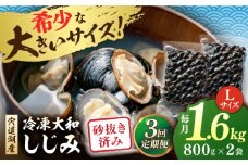 【全3回定期便】宍道湖産 冷凍大和しじみ 砂抜き済 Lサイズ800×2袋(1.6kg) 島根県松江市/しじみ市場株式会社 [ALDK006]｜シジミ 蜆 貝 魚貝類 魚介類 海鮮 簡単 お手軽 砂抜き不要 しじみ汁 大容量