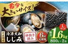 【全6回定期便】宍道湖産 冷凍大和しじみ 砂抜き済 Lサイズ800×2袋(1.6kg) 島根県松江市/しじみ市場株式会社 [ALDK007]｜シジミ 蜆 貝 魚貝類 魚介類 海鮮 簡単 お手軽 砂抜き不要 しじみ汁 大容量