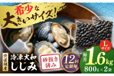 【全12回定期便】宍道湖産 冷凍大和しじみ 砂抜き済 Lサイズ800×2袋(1.6kg) 島根県松江市/しじみ市場株式会社 [ALDK008]｜シジミ 蜆 貝 魚貝類 魚介類 海鮮 簡単 お手軽 砂抜き不要 しじみ汁 大容量