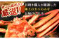 冷蔵便 新鮮 かに カニ 蟹 紅ずわい ズワイガニ 海産 島根 松江 おすすめ