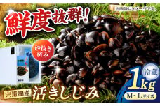砂抜き不要！宍道湖産 活ヤマトシジミ 生しじみ 1kg 島根県松江市/株式会社漁師村 [ALDN005]｜蜆 しじみ シジミ 宍道湖 魚介類 しじみ汁 産地直送 新鮮 松江 おすすめ