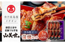 【米子高島屋選定品】[うなぎ処 山美世]うなぎ蒲焼3尾詰合せ MAT-AA4 島根県松江市/株式会社米子高島屋 [ALFD017]｜国産 うなぎ ウナギ 鰻 秘伝のタレ 蒲焼き 国産 島根 松江 おすすめ 人気