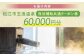 宿泊クーポン 60000円分 観光 旅行券 宿泊 ギフト 贈答 松江 おすすめ