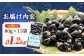 しじみ しじみ汁 味噌汁 みそ汁 宍道湖 しんじ湖 砂抜き 砂出し 冷凍