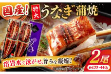 うなぎ老舗専門店のパリっとふっくら国産うなぎ 蒲焼2尾(蒲焼のタレ付き) 島根県松江市/株式会社山美世商会 [ALDC001]｜国産 うなぎ ウナギ 鰻 秘伝のタレ 蒲焼き 国産 島根 松江 おすすめ 人気