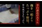 味醂 みりん ミリン 本味醂 本みりん 長期熟成 贈答 ギフト 