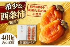 【数量限定10箱】【先行予約】【2025年12月より順次発送】宝箱のあんぽ柿 島根県松江市/有限会社宝箱 [ALBI015]｜干柿 干し柿 柿 かき カキ 西条柿