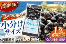 【全3回定期便】生産量日本一！宍道湖産 ヤマトシジミMサイズ（真空冷凍） 80g×15袋 島根県松江市/有限会社日本シジミ研究所 [ALBS003]