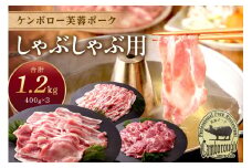 浜田市産 ケンボロー芙蓉ポーク しゃぶしゃぶ用 合計 1.2kg【002_1953】