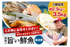この男に任せてみませんか～浜田の旨い鮮魚直送便～ 海鮮 鮮魚 詰め合わせ セット おまかせ 人気 お取り寄せ 【006_2043】