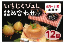 浜田産いちじくジュレ詰め合わせ【9～11月発送】 スイーツ デザート ゼリー 期間限定 数量限定 【067_1937】